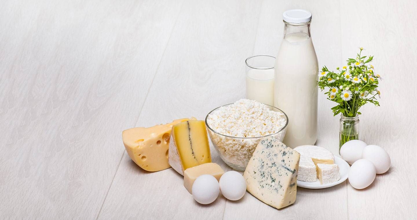 Tutto-sui-fermenti-lattici