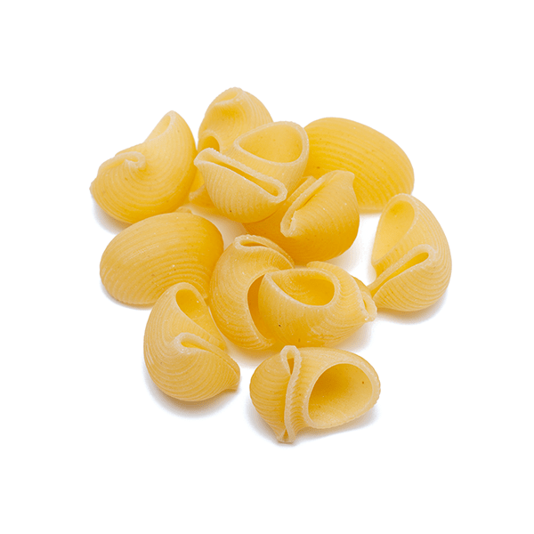 Conchiglioni