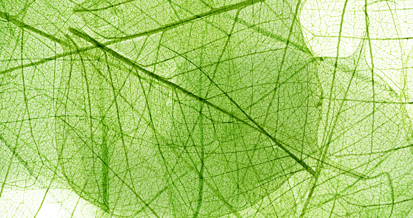 copertina-chi-siamo-santal-b