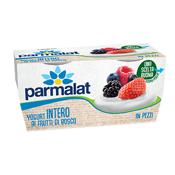 Yogurt Parmalat Intero Frutti di Bosco 2x125g