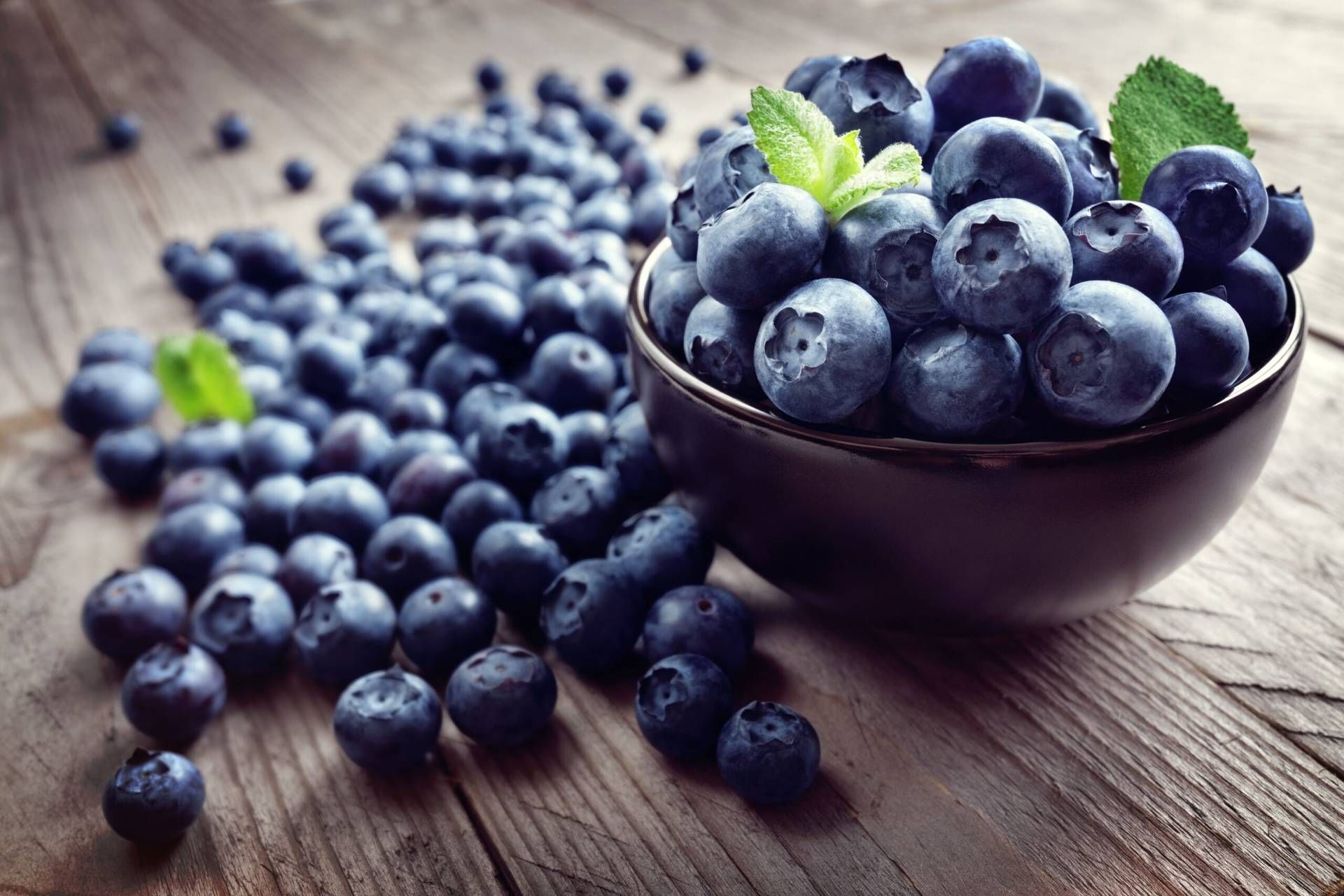 AdobeStock_110170233 (1)