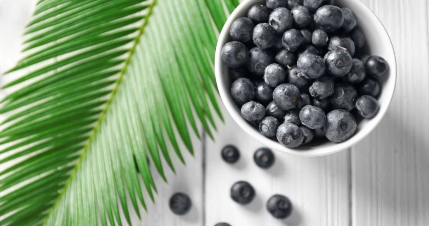 bacche-di-acai